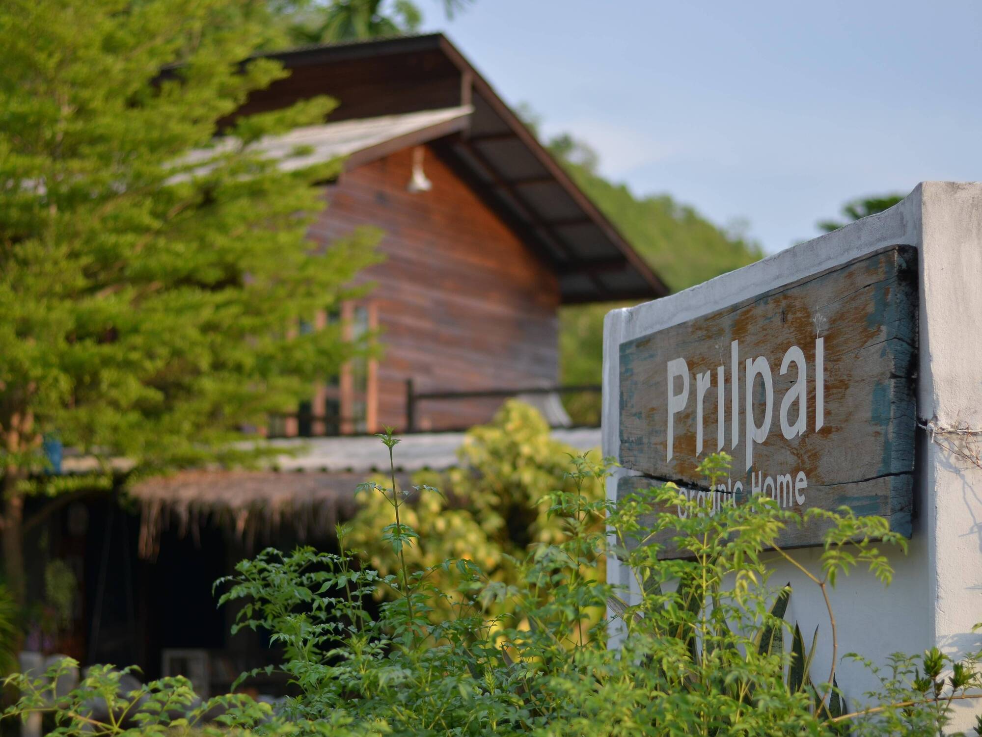 Prilpai Pensión Exterior foto